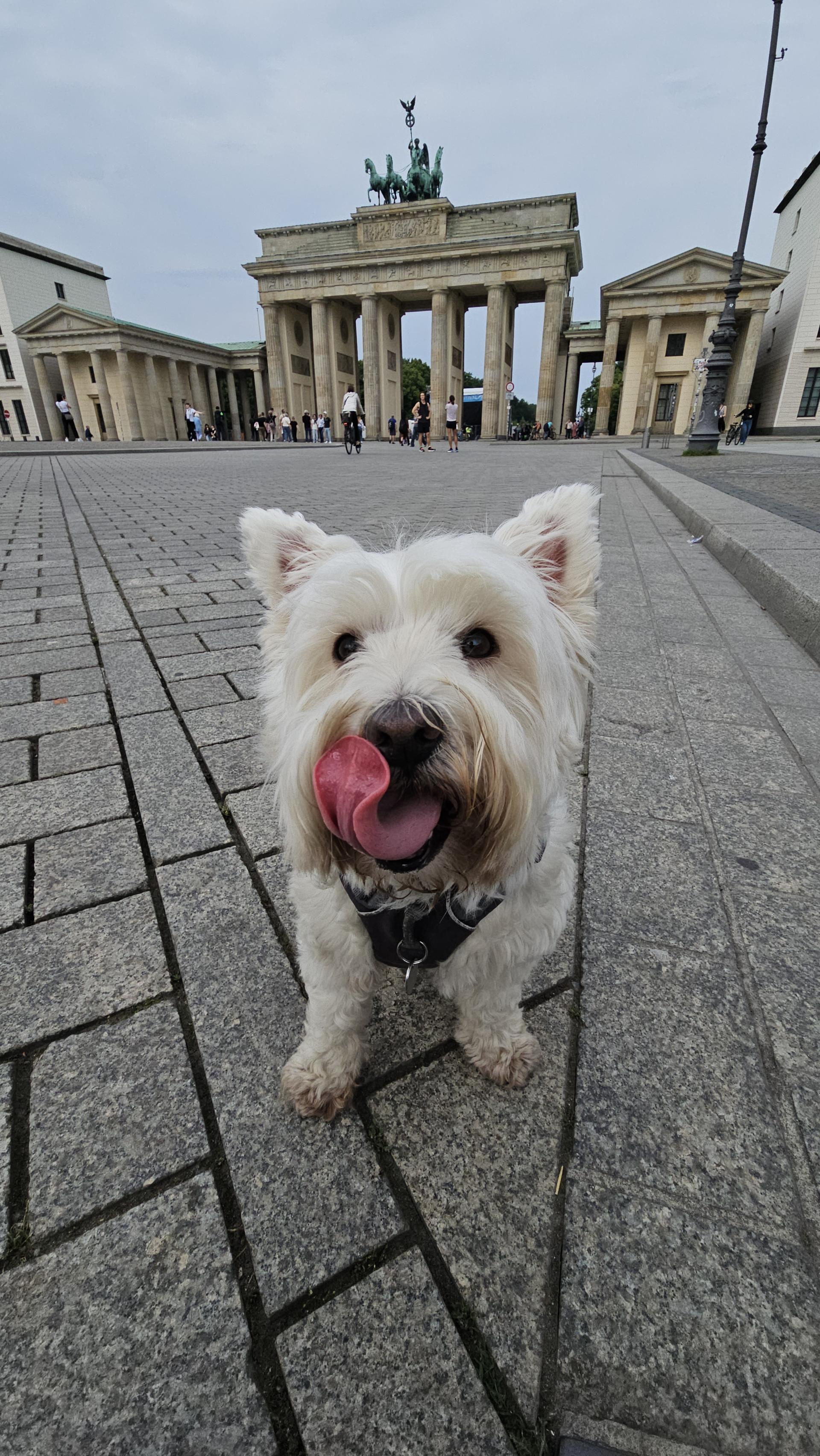 Leeloo at Brandenburger Gate
