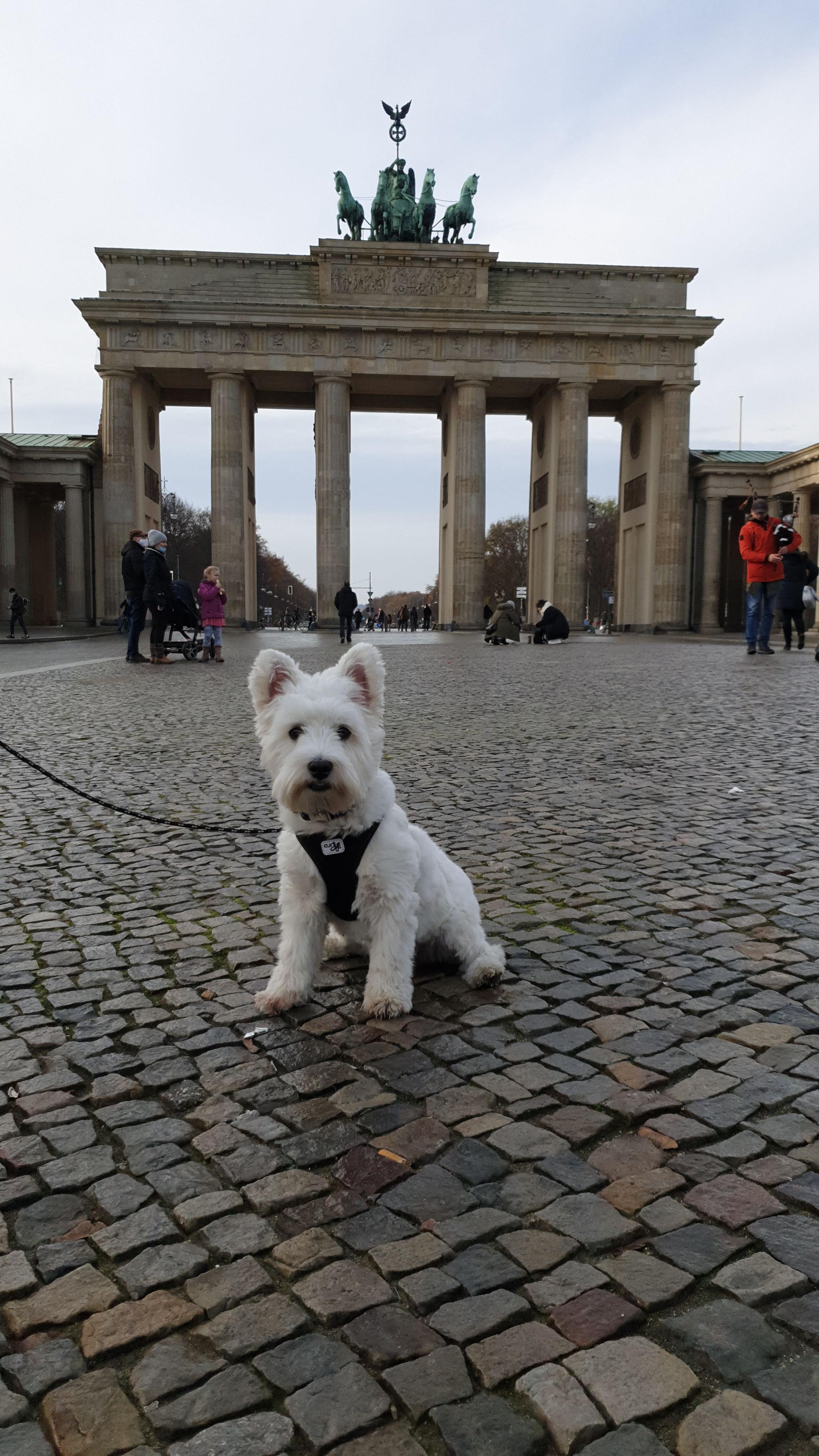 Baby Leeloo at Brandenburger Tor