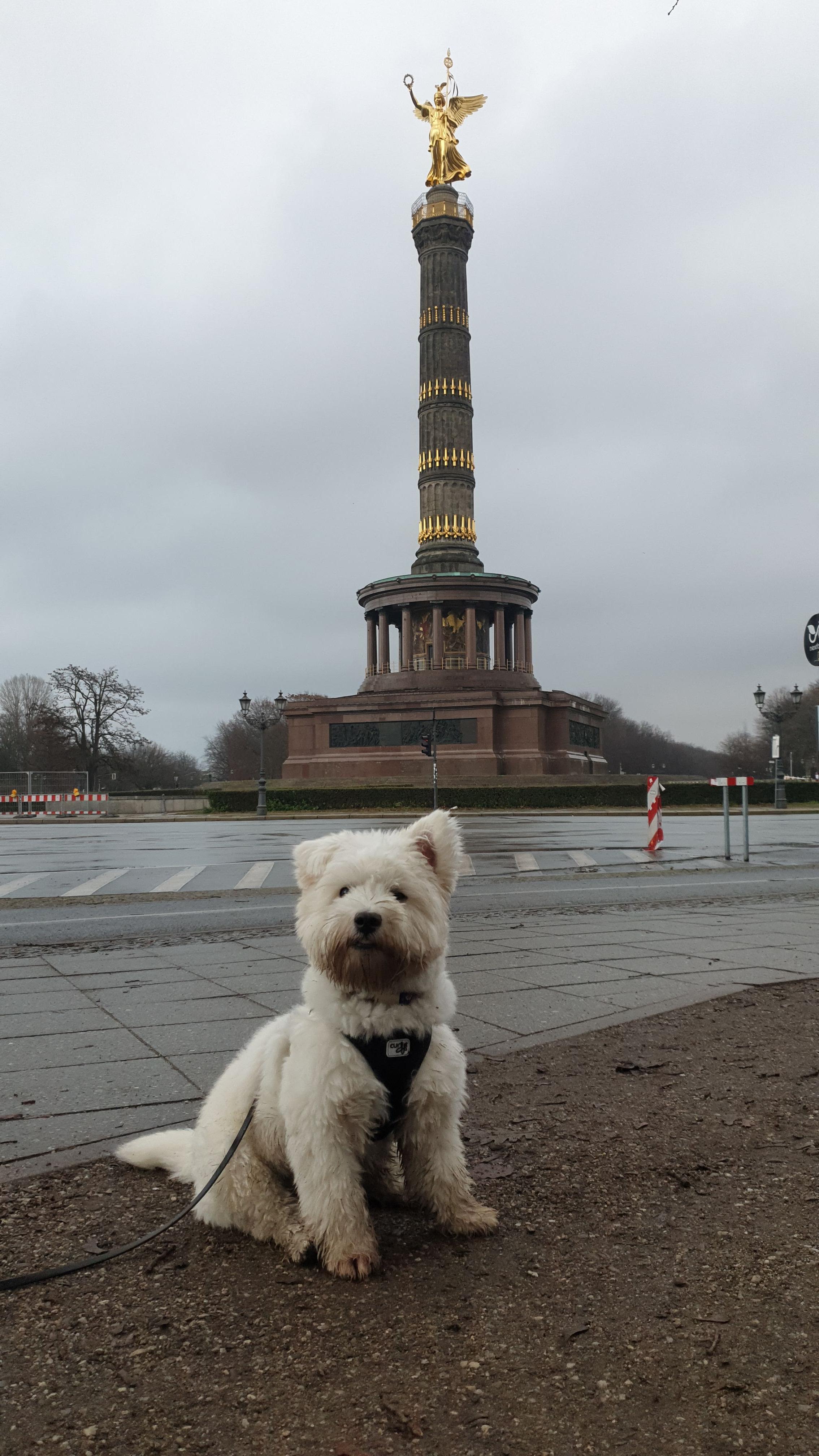 Leeloo in Tiergarten