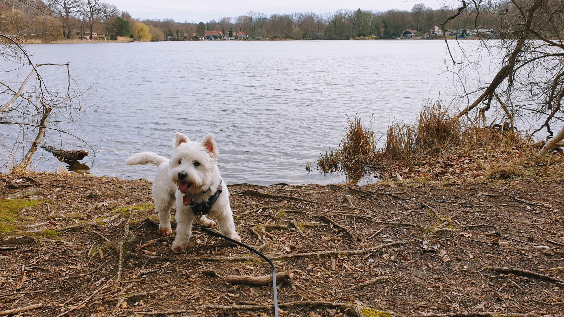 Young Leeloo discovering the world beyond the couch