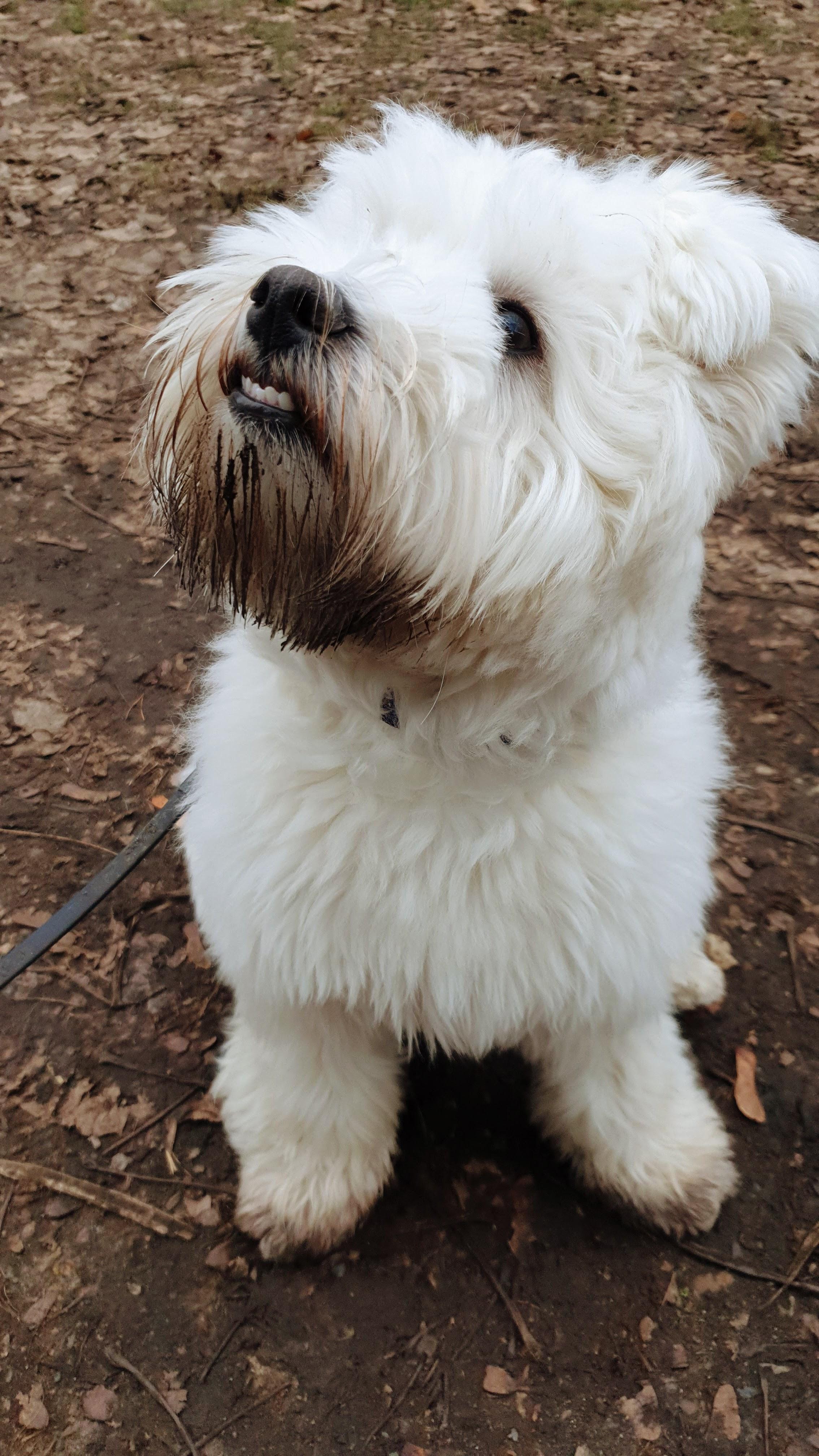 Dirty but proud Leeloo