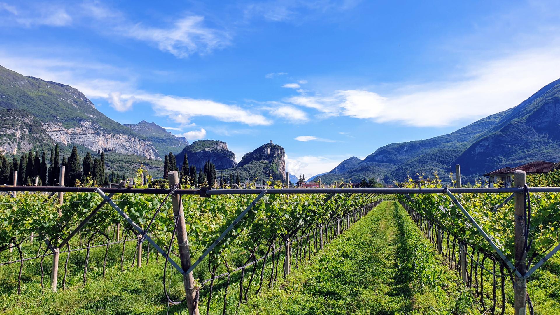 Camping with a view to the castle