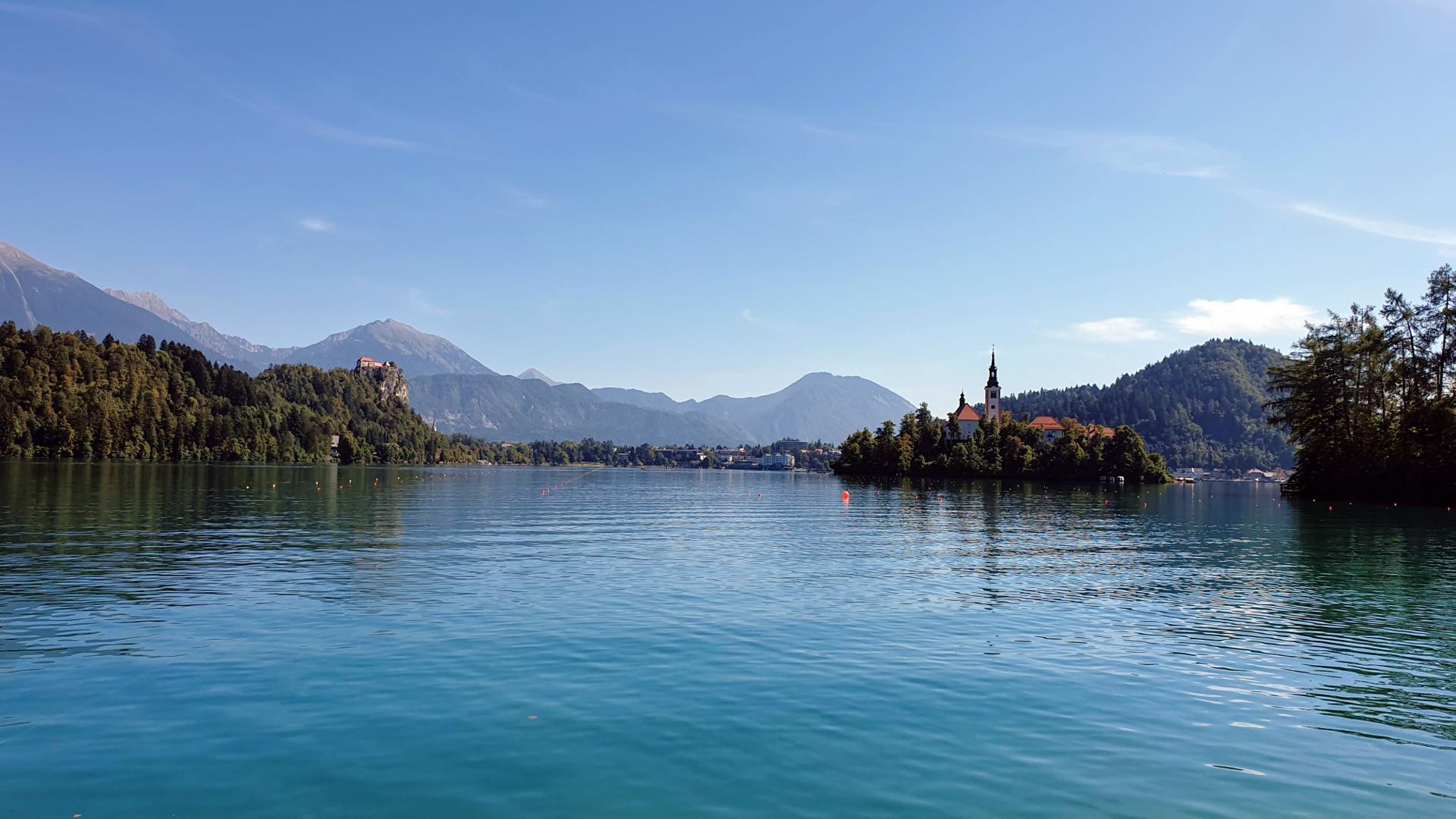 Leeloo looking at the lake Bled