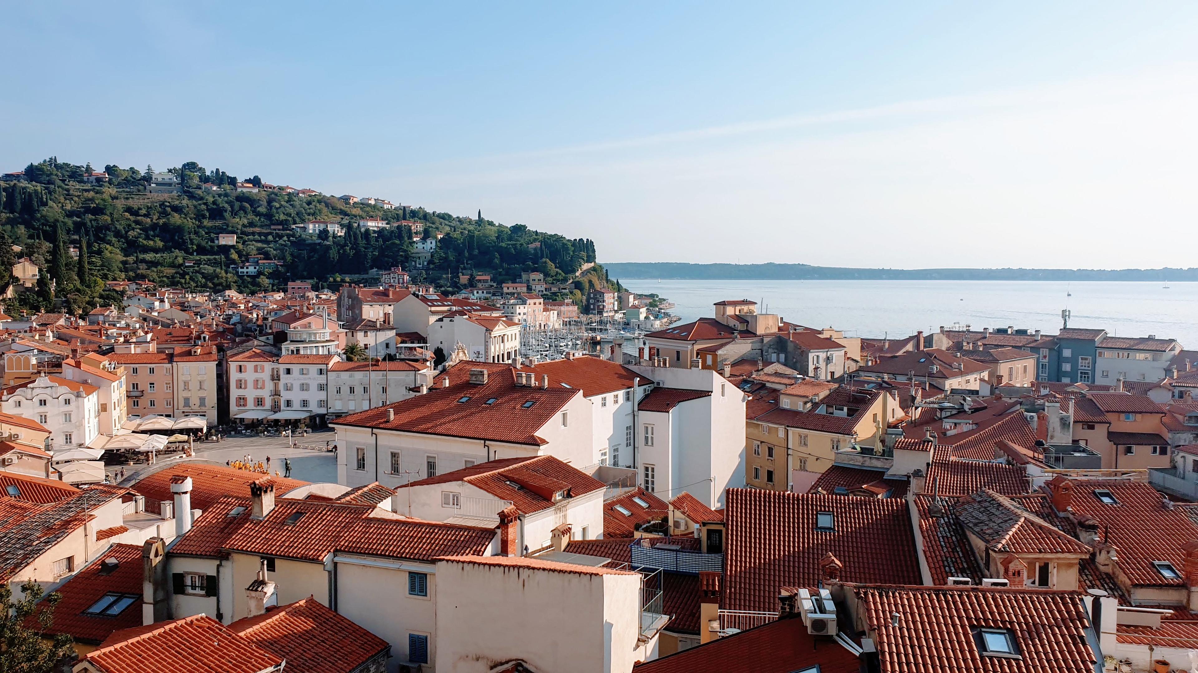 Red roofs of Piran