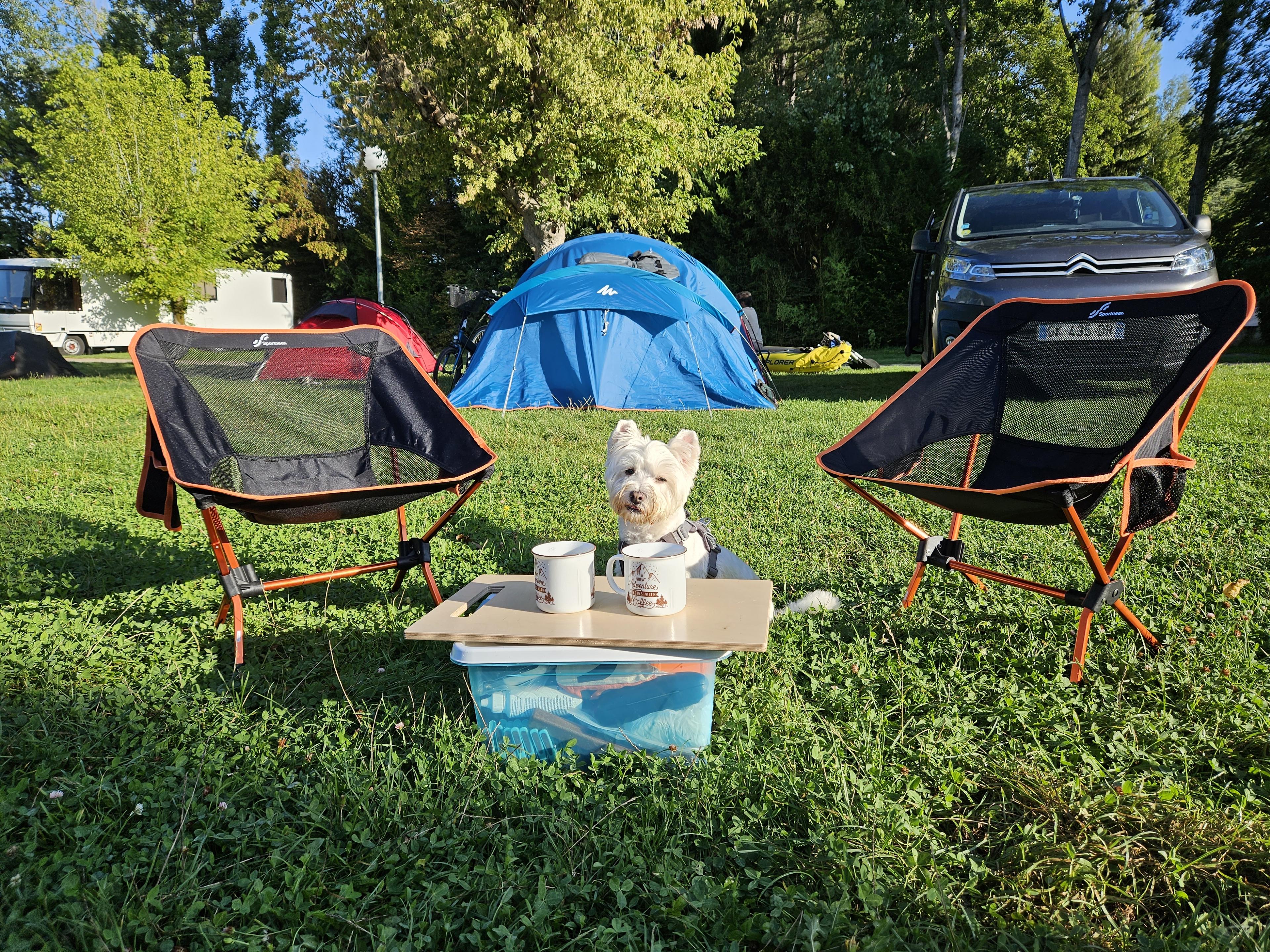 Leeloo at a dog-friendly campsite