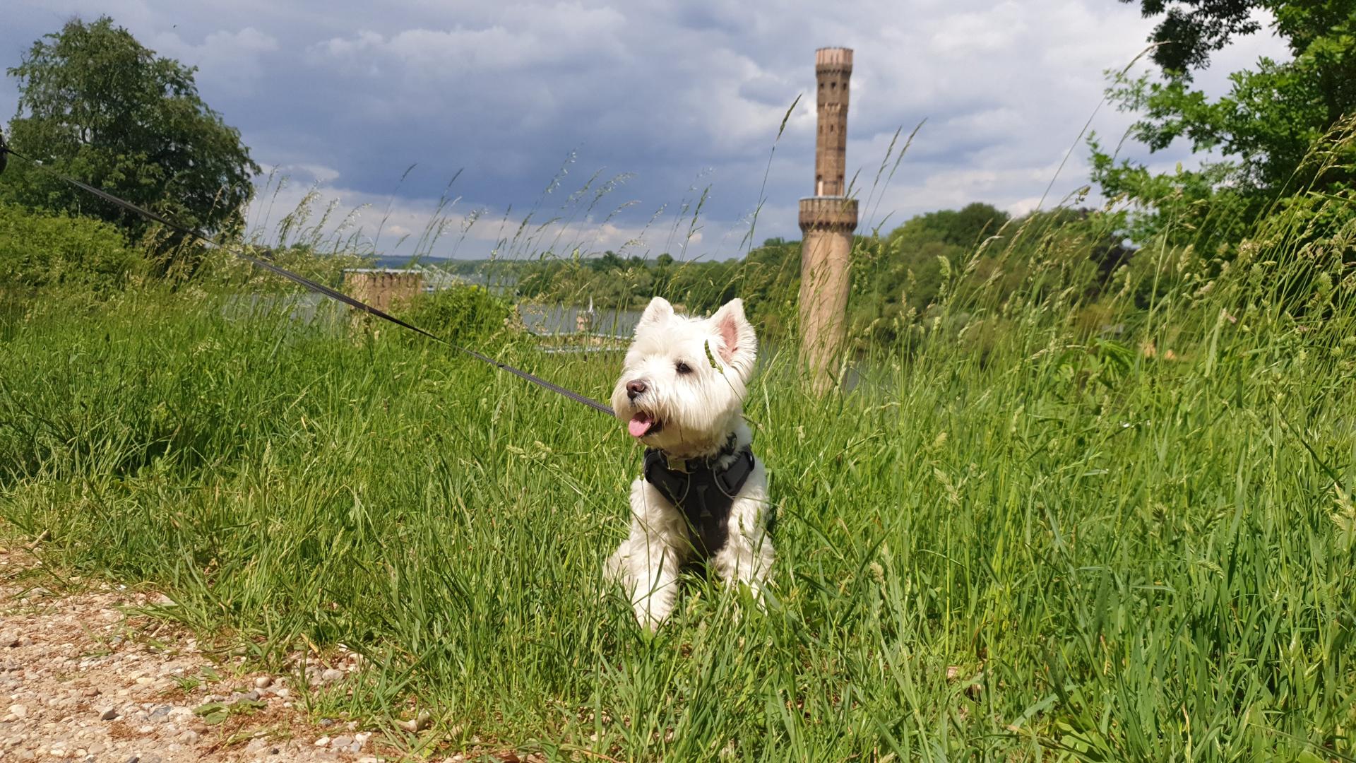 Leeloo in Potsdam