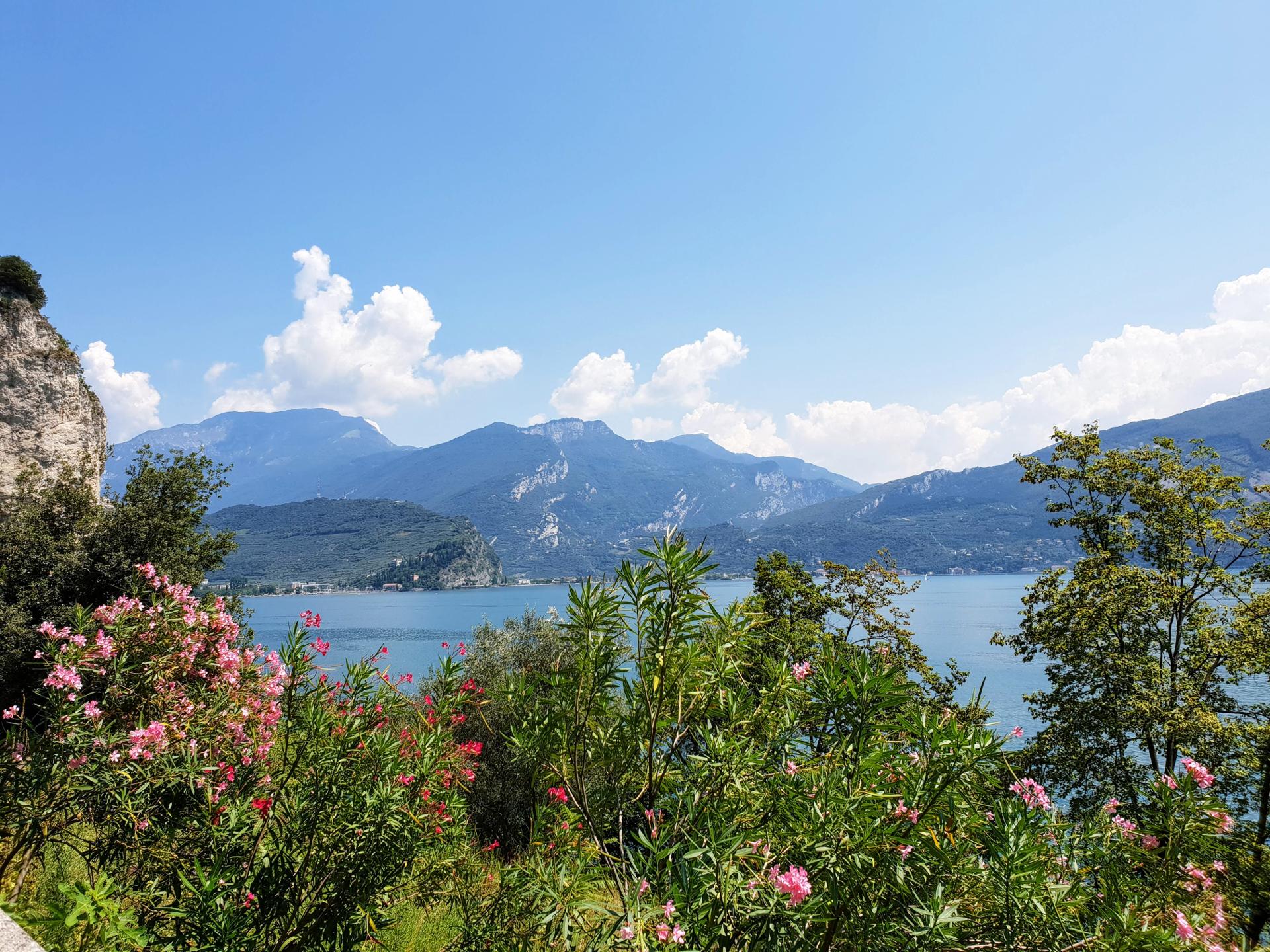 View from the trail