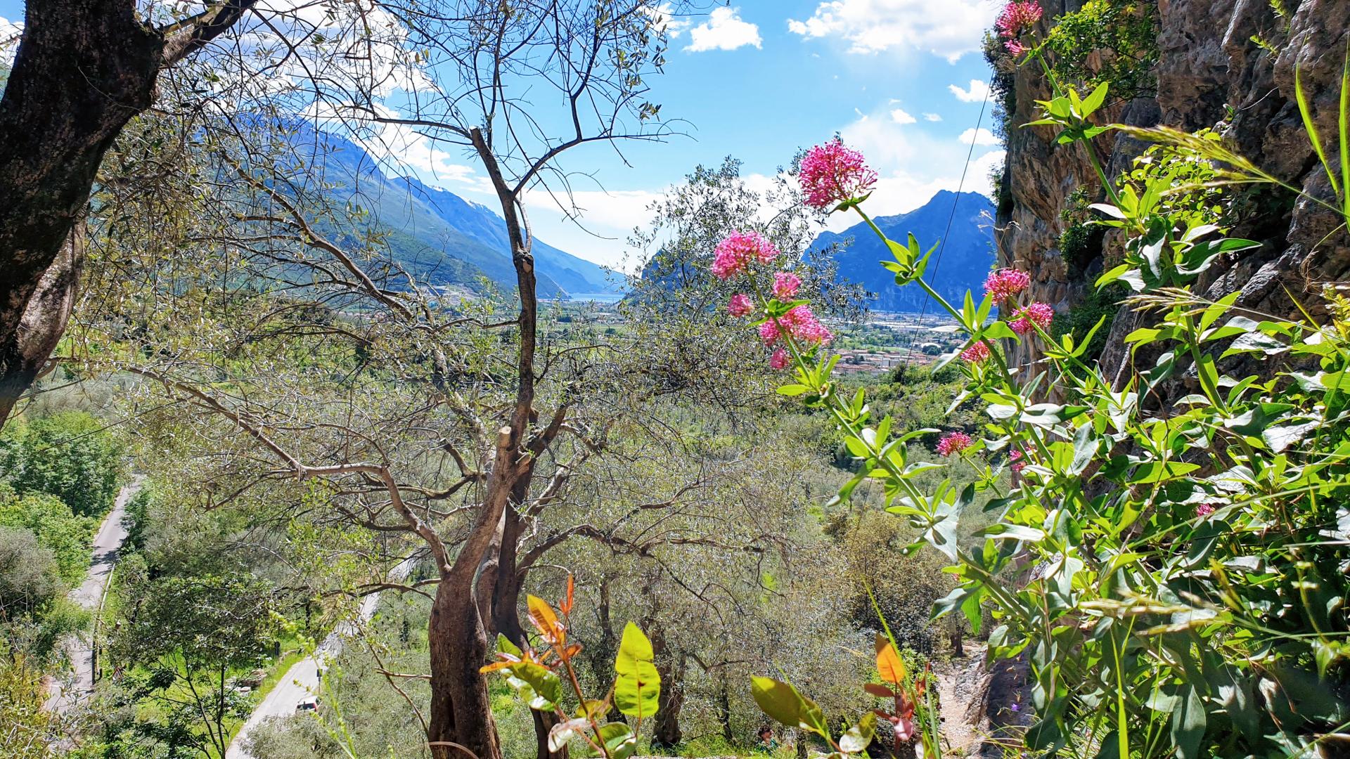 View from the trail